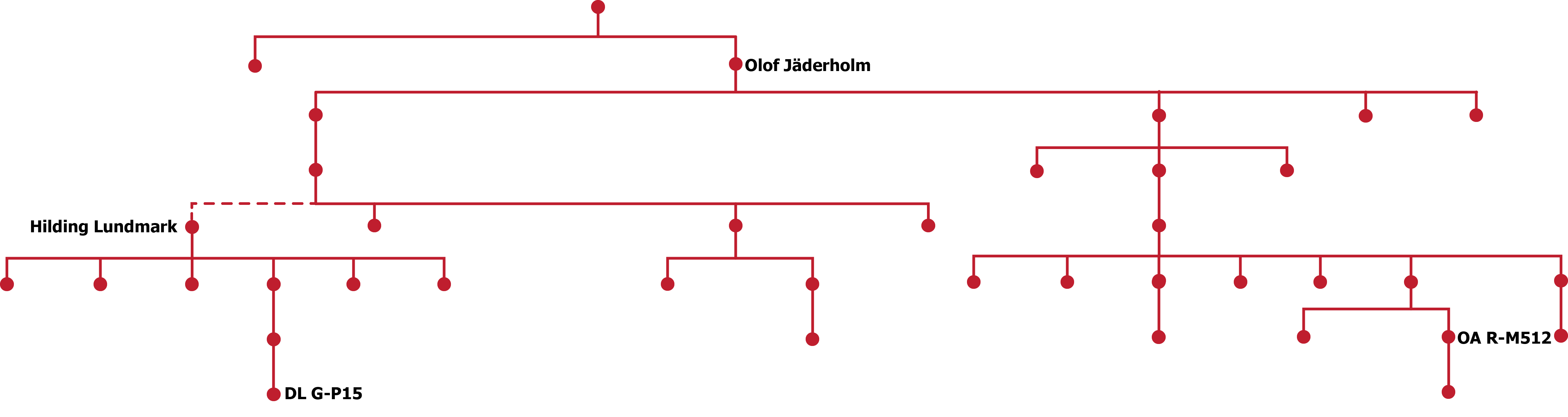 ydna schema jaderholm